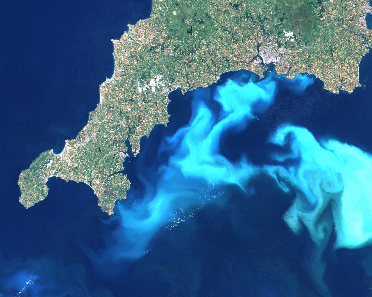 Algae Bloom From Space - HD Wallpaper 