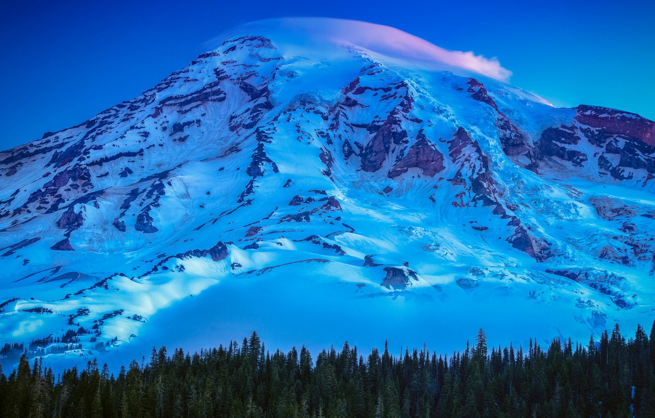 Photo Wallpaper Usa, United States, Trees, Mountain, - Mount Rainier National Park, Nisqually Glacier - HD Wallpaper 