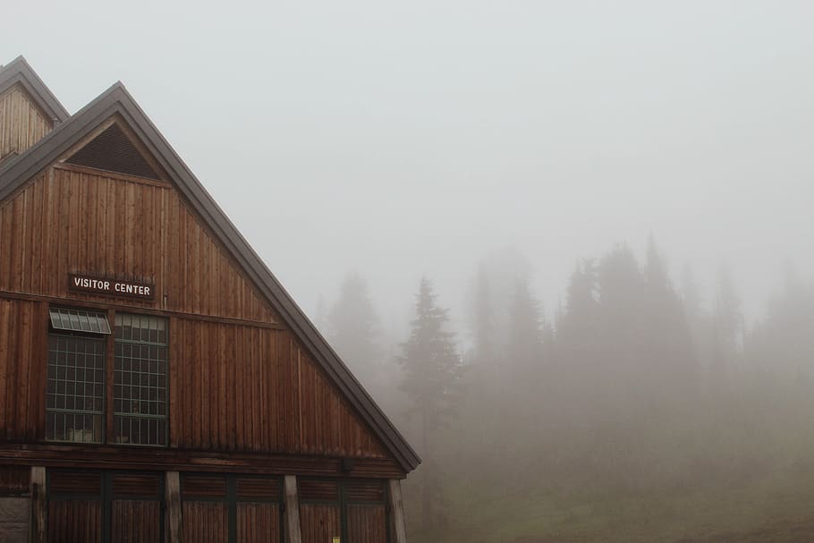 United States, Mount Rainier National Park, Hike, Fog, - Mist - HD Wallpaper 