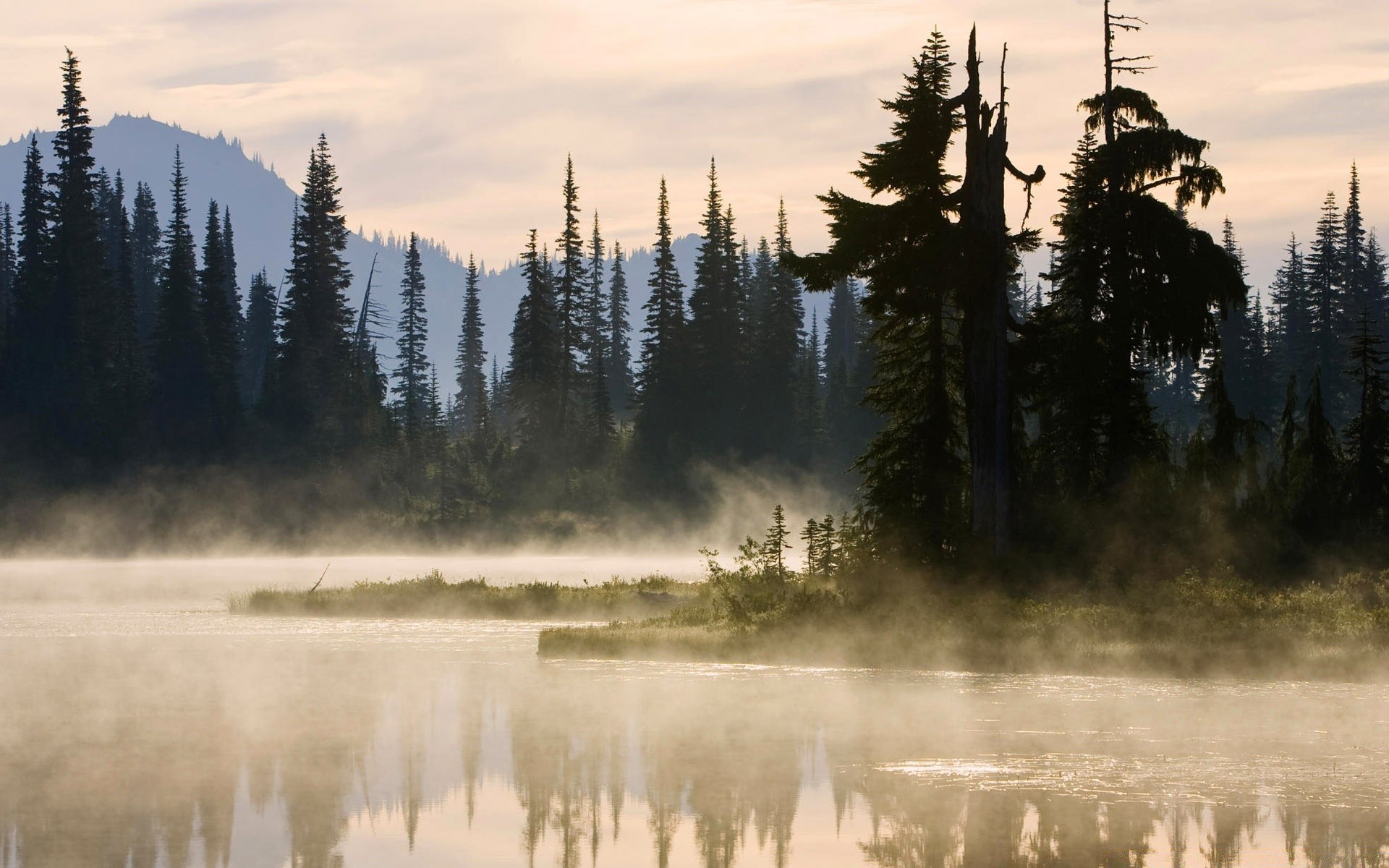 Lake Tree Landscape Snow Water Outdoors Wood Conifer - Mountain Lake Mist - HD Wallpaper 