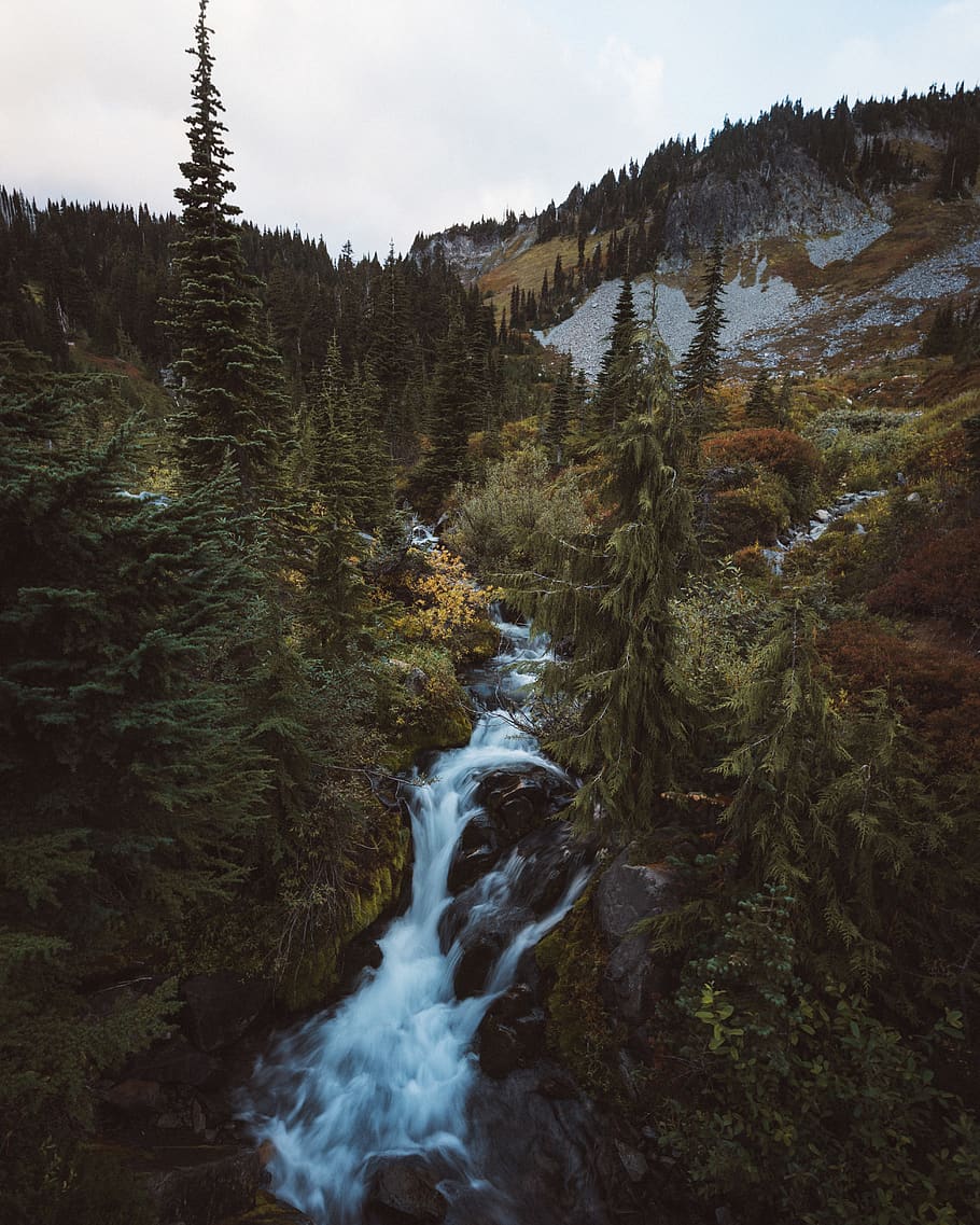 Waterfall, Creek, River, Washington, Mt Rainier, National - Tributary - HD Wallpaper 