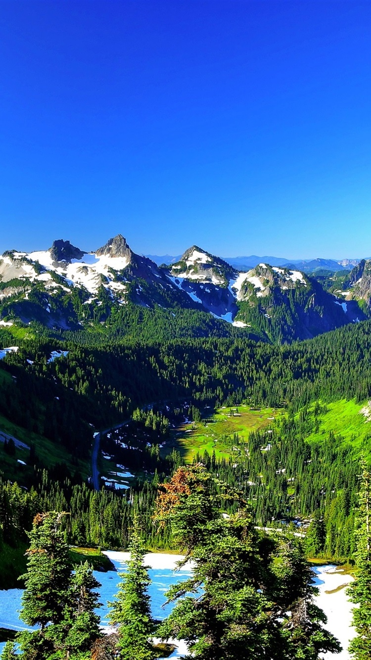 mt rainier wallpaper desktop on Mount Rainier National Park 750x1334 Wallpaper Teahub Io