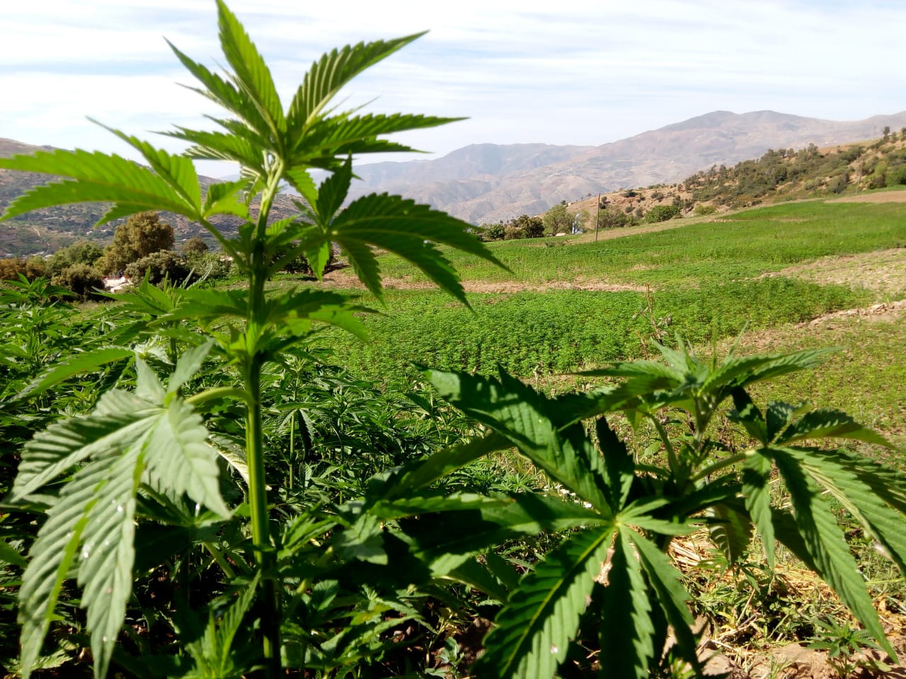 Zatla Ketama - Ketama Morocco - HD Wallpaper 