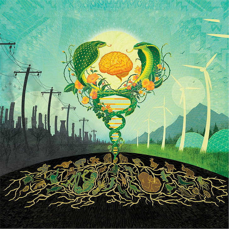 Green And Yellow Floral Textile, Fantasy Art, Nature, - Pushing Through The Pavement - HD Wallpaper 