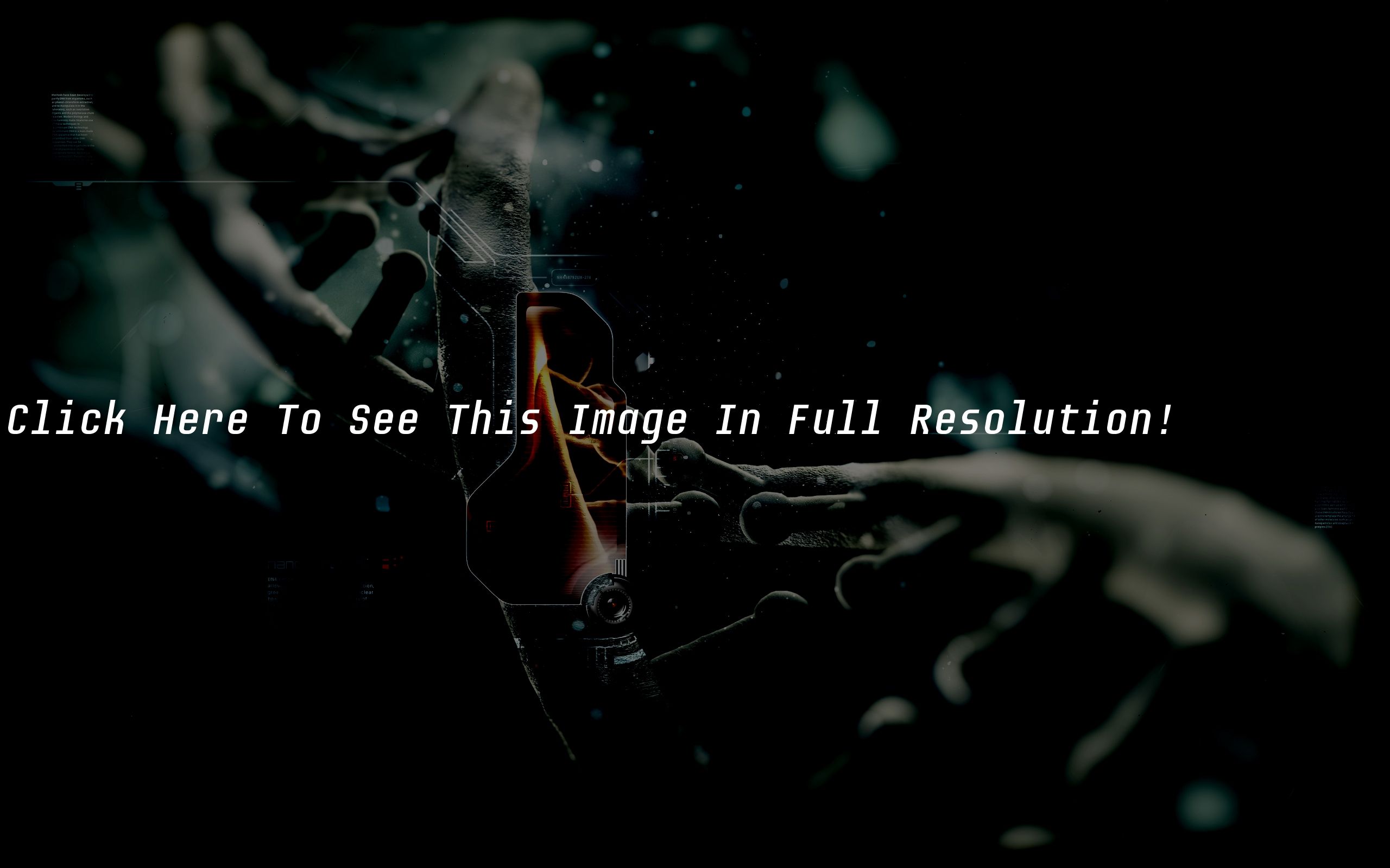 Spider Web - HD Wallpaper 