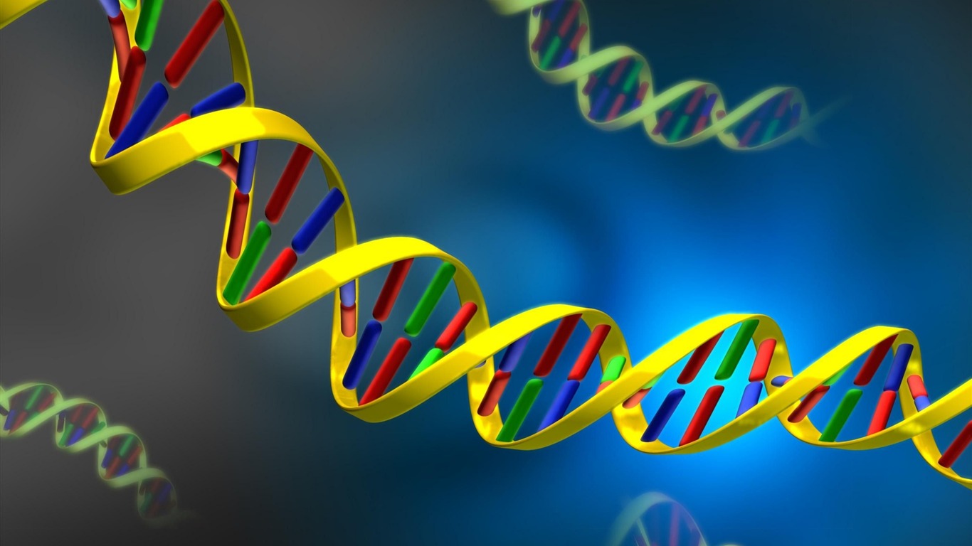 Dna Mesh Multi Colored Surface-design Hd Wallpaper2013 - Nucleic Acid Hd Background - HD Wallpaper 