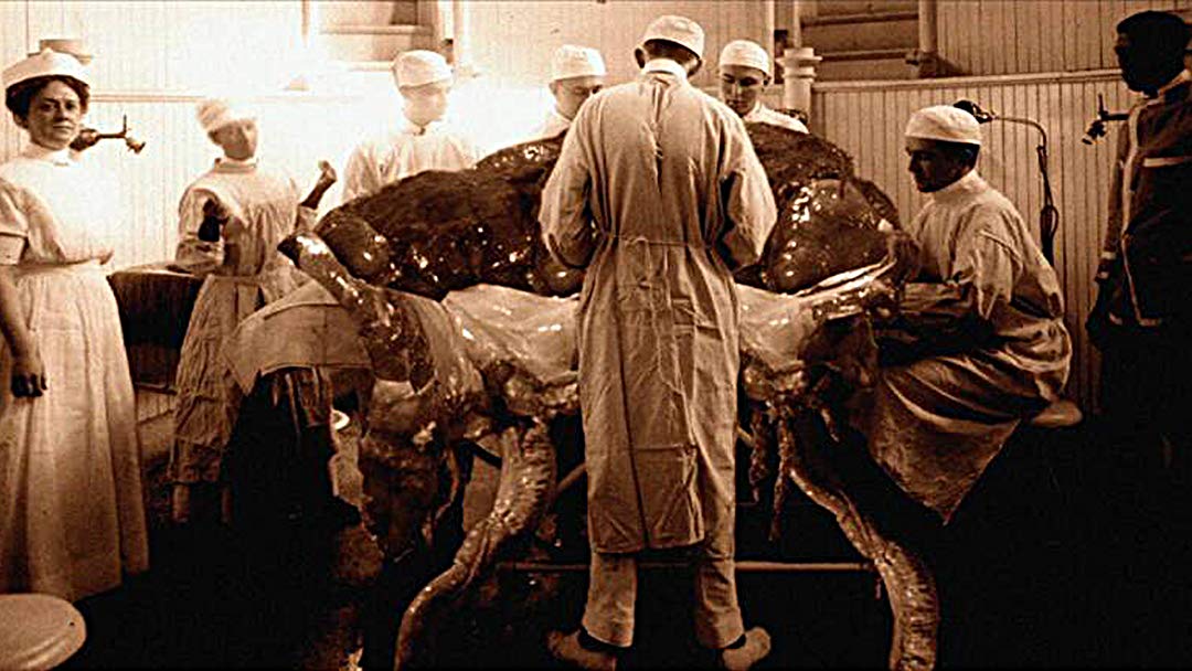 War Of The Worlds The True Story - HD Wallpaper 