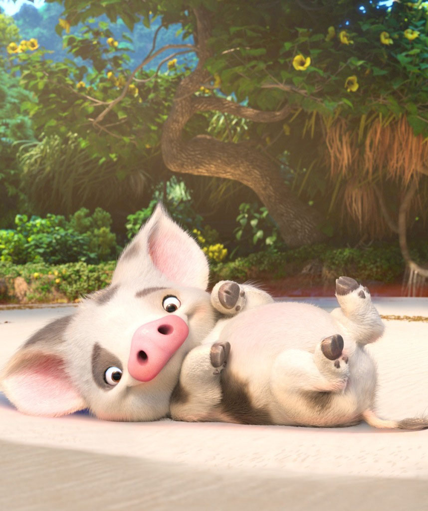 Pua In Moana - HD Wallpaper 