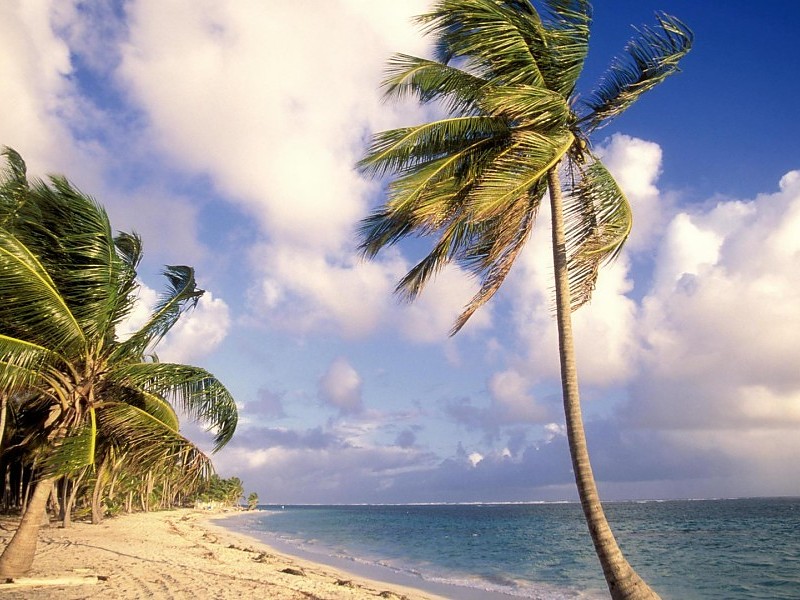 Punta Cana, Dominican Republic Wallpaper - Punta Cana Dominican Republic Places To Visit - HD Wallpaper 