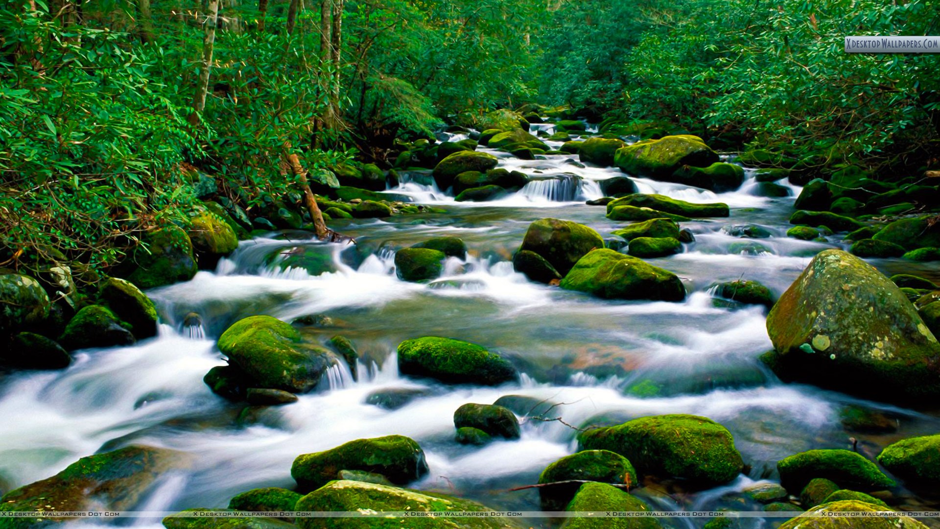 Hd Smoky Mountains View Wallpaper Desktop - HD Wallpaper 
