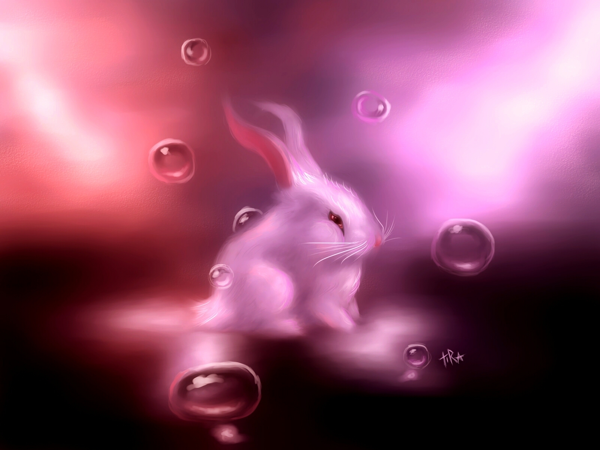 Disco Rabbit - HD Wallpaper 
