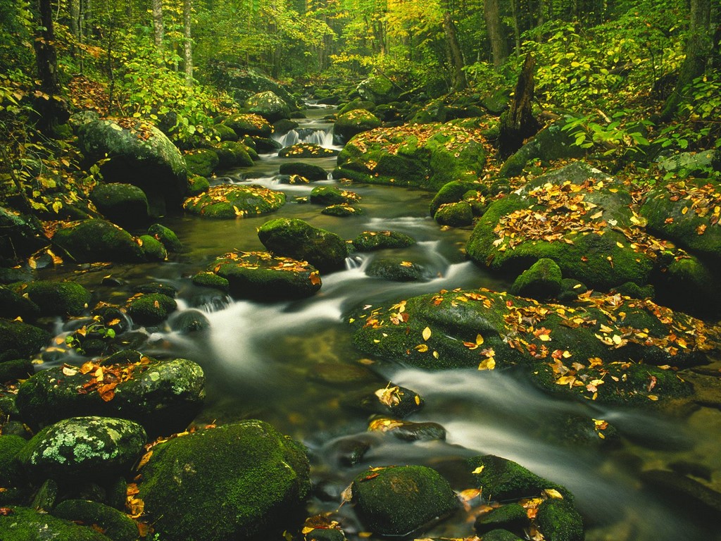 Roaring Fork, Timed Exposure, Great Smoky Mountains, - HD Wallpaper 