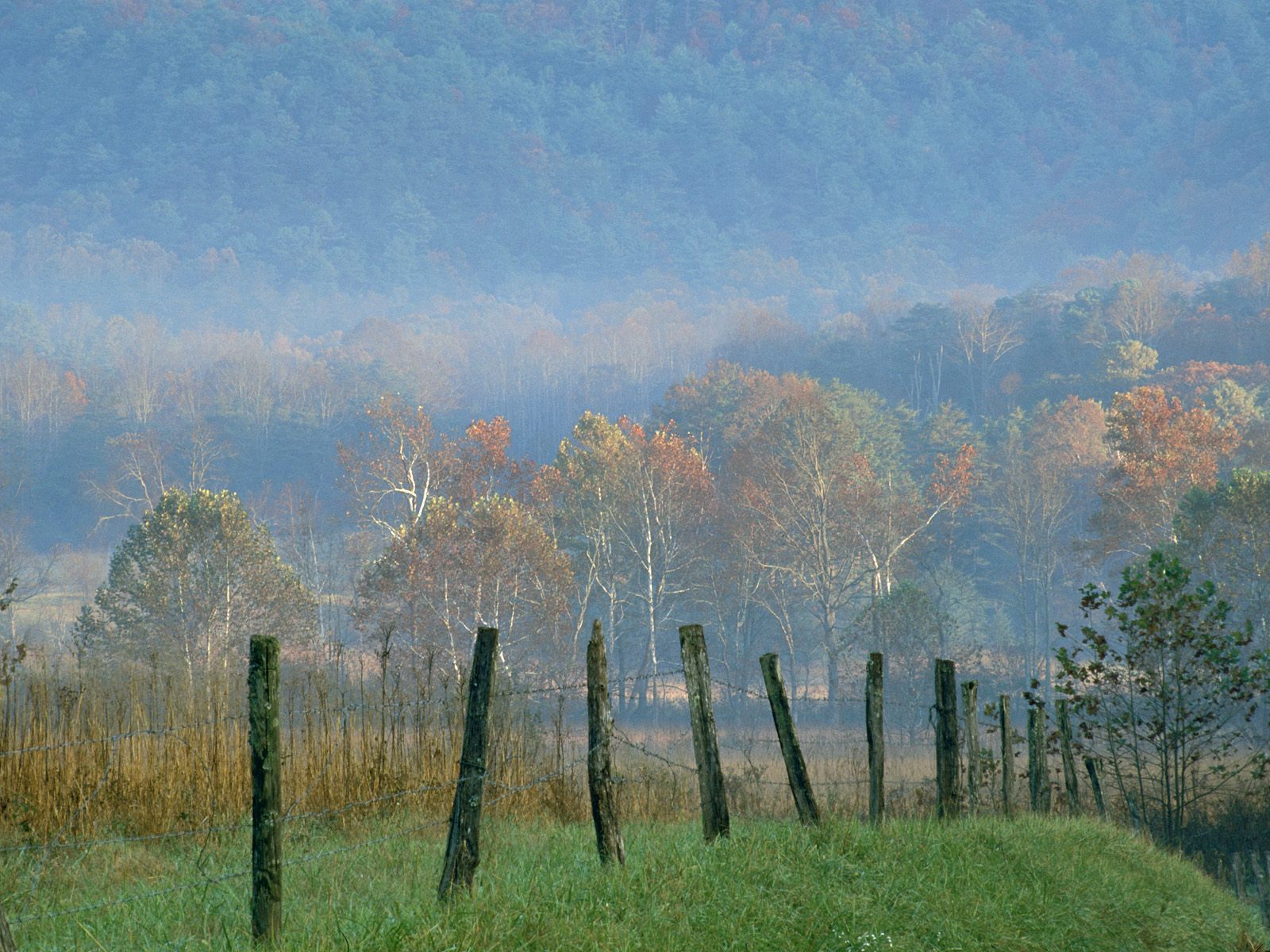 Cades Cove, Great Smoky Mountains National Park - HD Wallpaper 