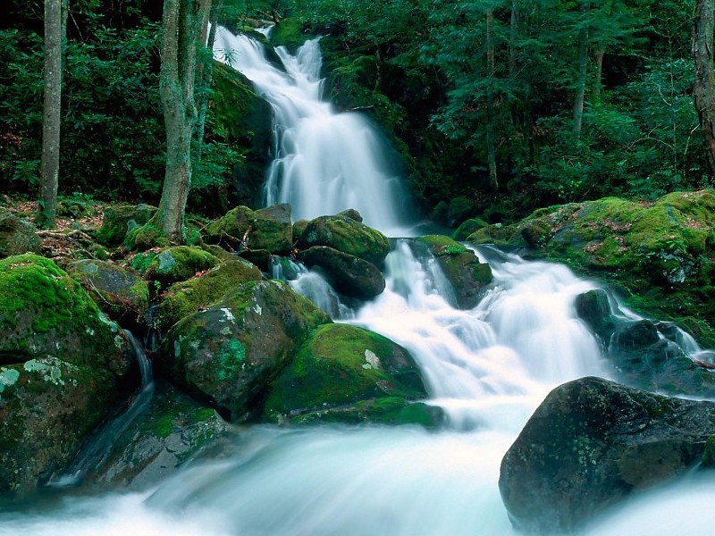 Beautiful Waterfall In The Great Smokey Mountains Wallpaper - Mouse Creek Great Smoky Mountains North Carolina - HD Wallpaper 