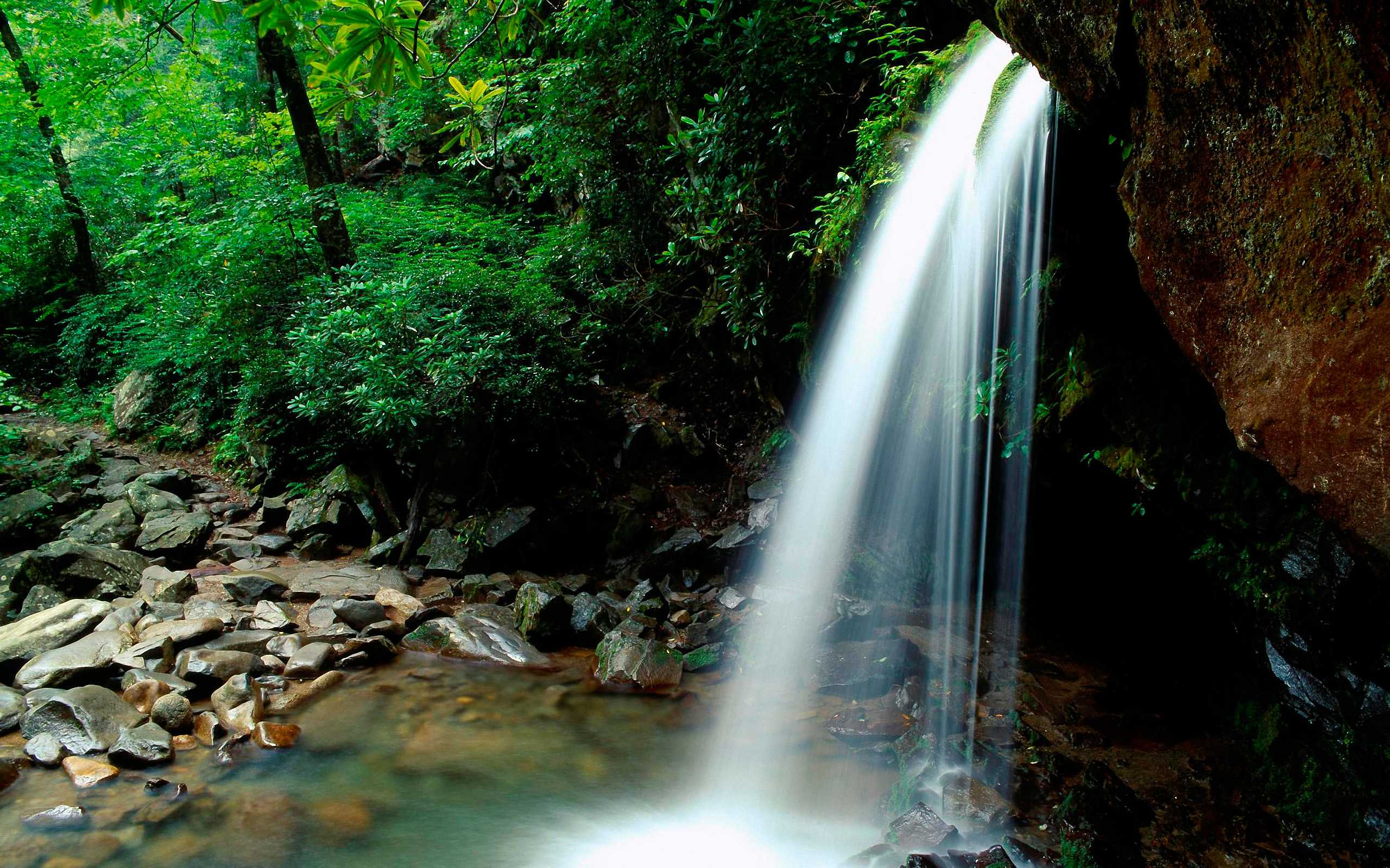 Great Smoky Mountains National Park - HD Wallpaper 