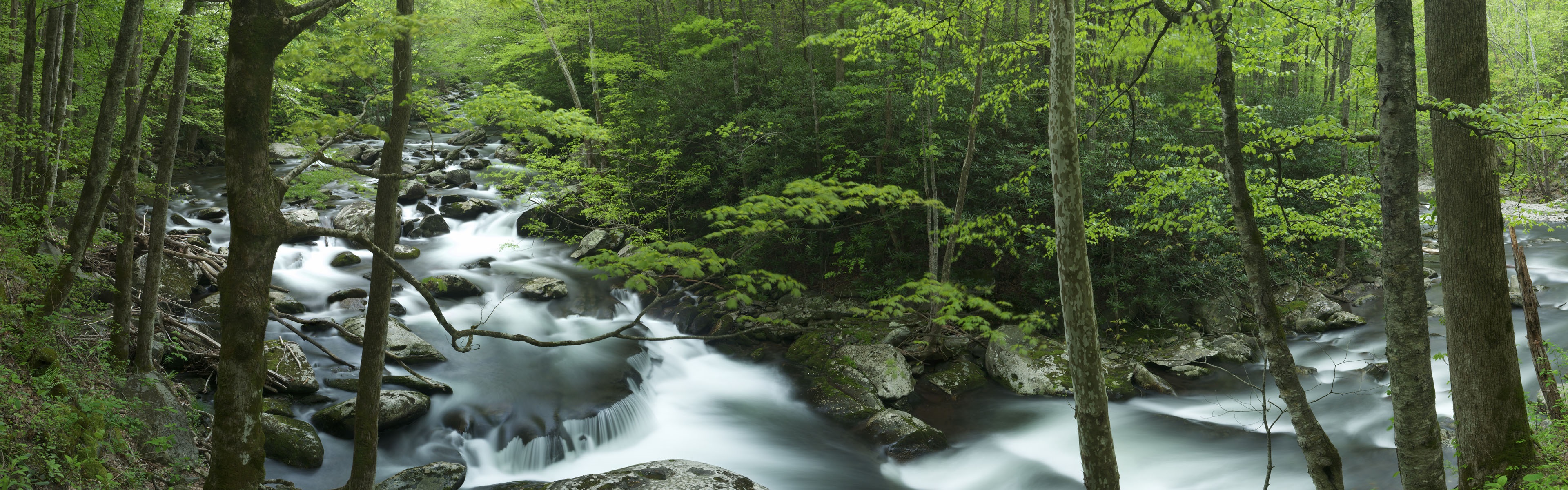 Wallpaper Tremont, Great Smoky Mountains, Creek, Rocks, - Wallpaper - HD Wallpaper 