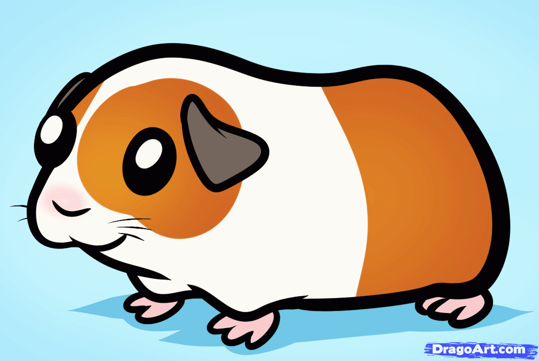 How To Draw A Guinea Pig For Kids, Step By Step, Animals - Cartoon Guinea Pig Drawings - HD Wallpaper 