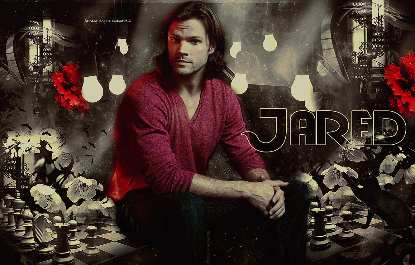 Photo Wallpaper Cat, Flowers, Collage, Chess, Actor, - Jared Padalecki - HD Wallpaper 