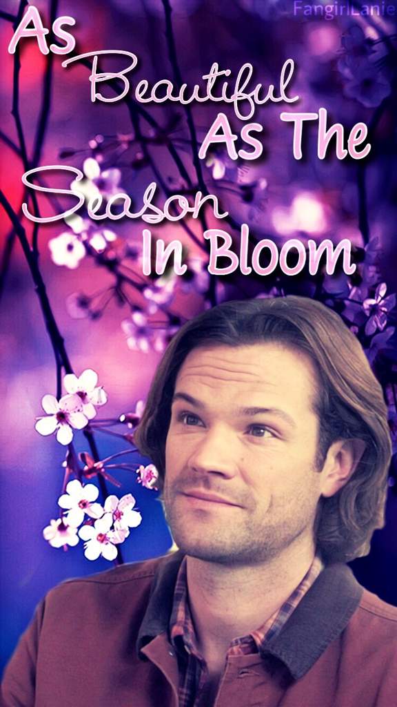 User Uploaded Image - Poster - HD Wallpaper 