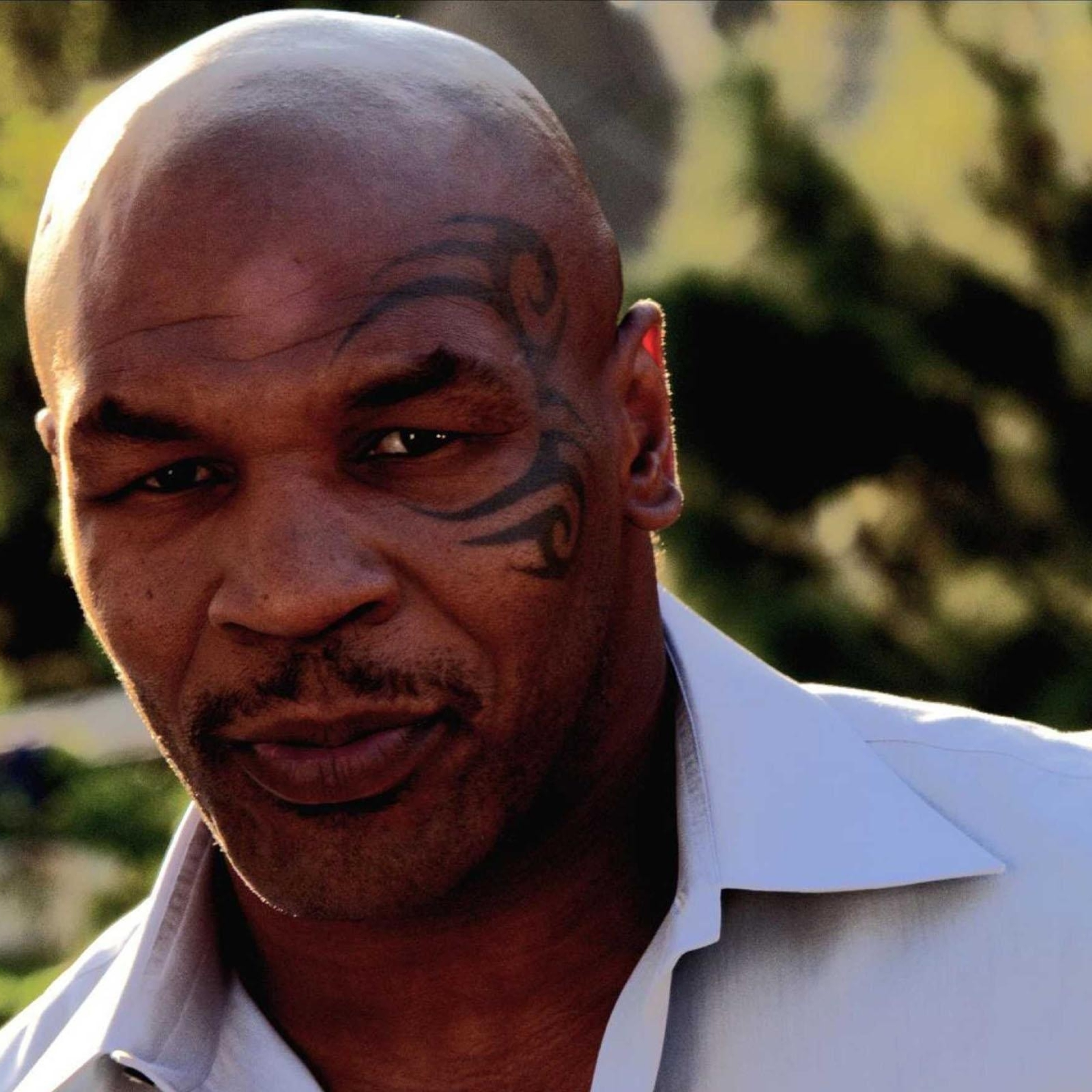 Mike Tyson Hd Close Up - HD Wallpaper 