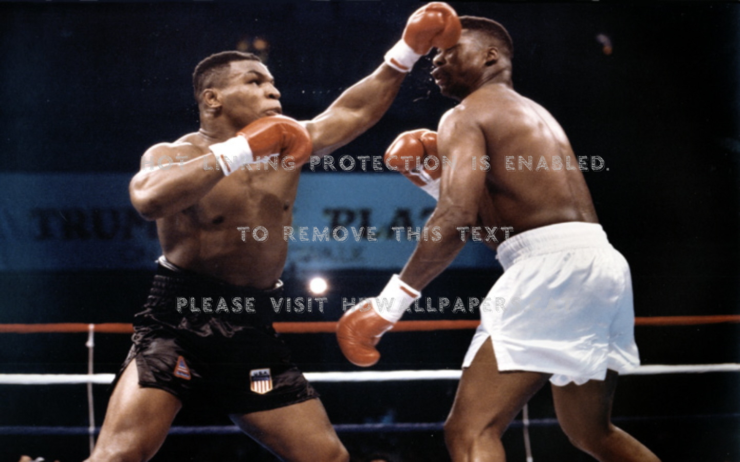 Mike Tyson Power Boxing Sports - Mike Tyson Knockouts - HD Wallpaper 