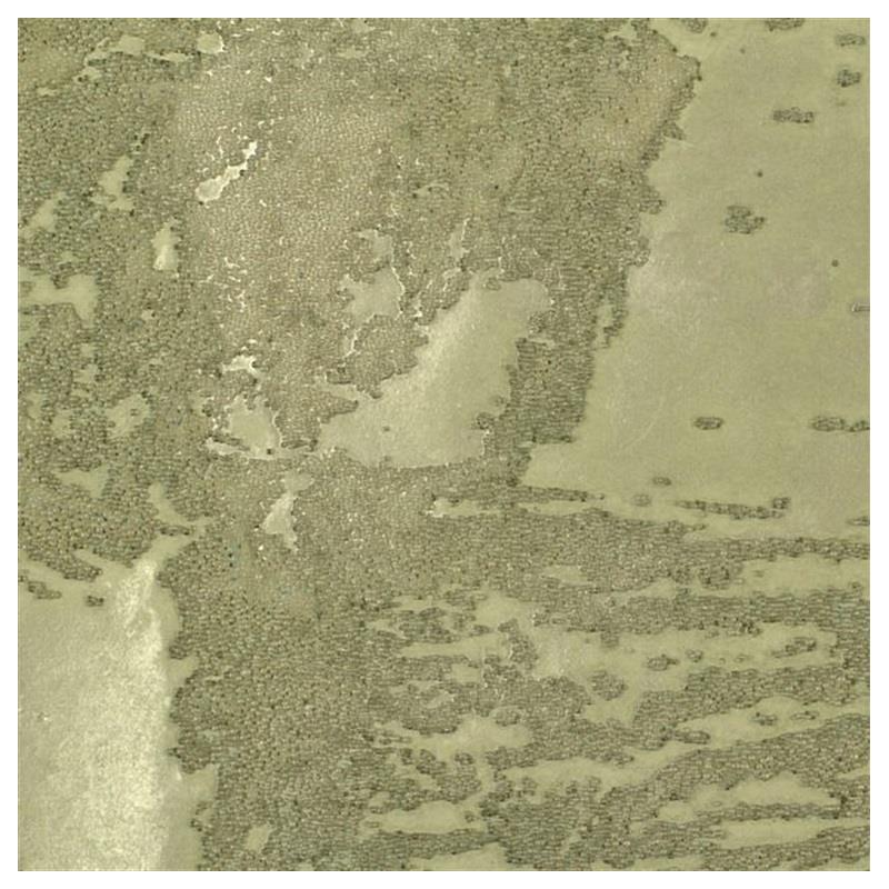 Wsp6309 Corvo Beads By Winfield Thybony - Concrete - HD Wallpaper 