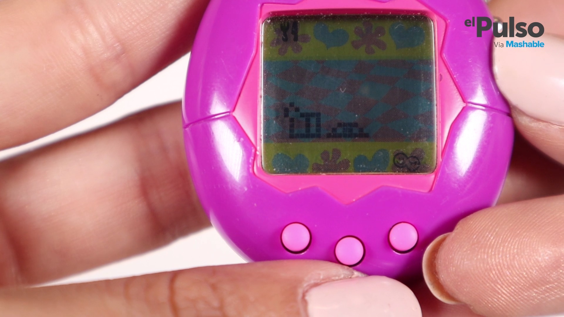 Tamagotchi Videos - HD Wallpaper 
