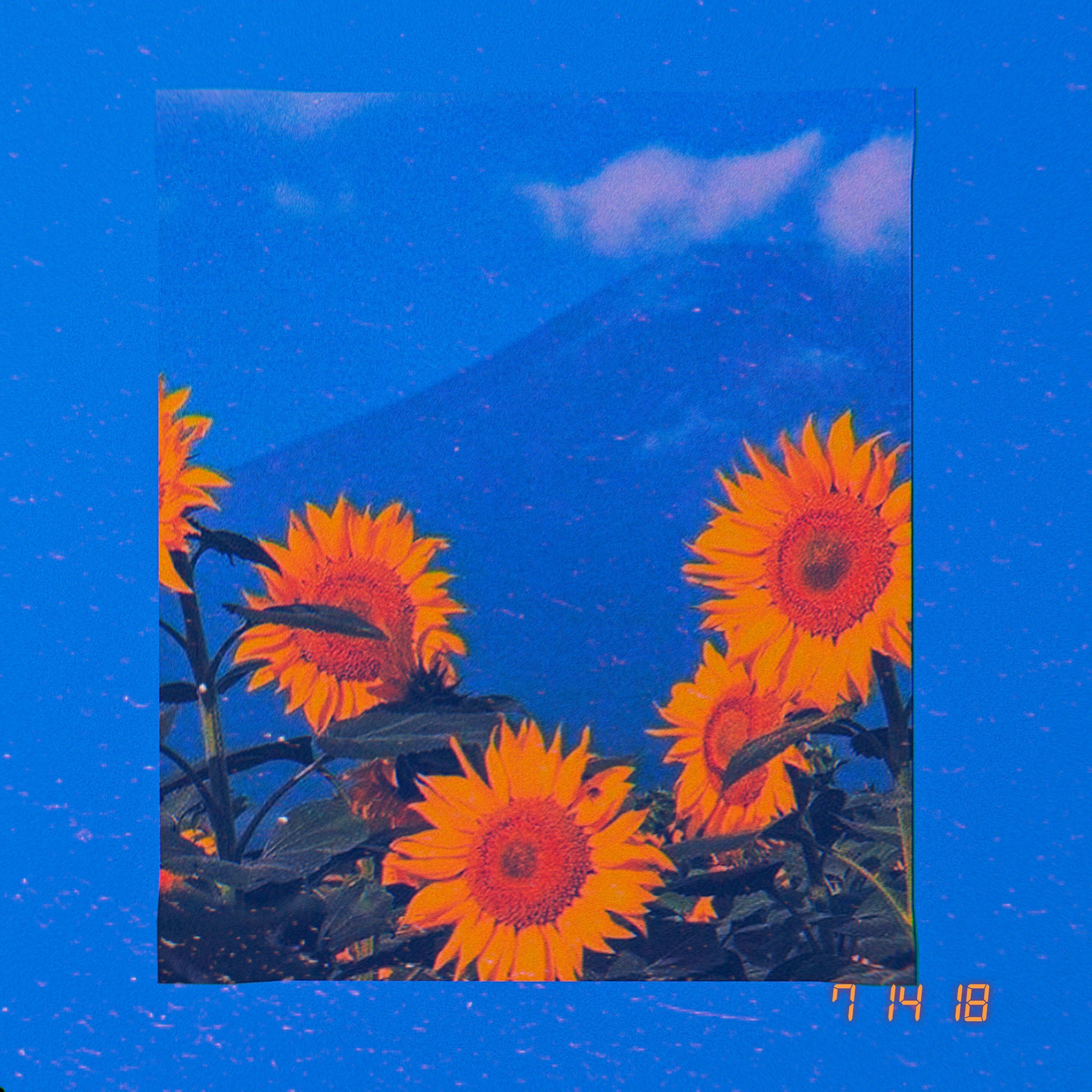 Aesthetics - HD Wallpaper 