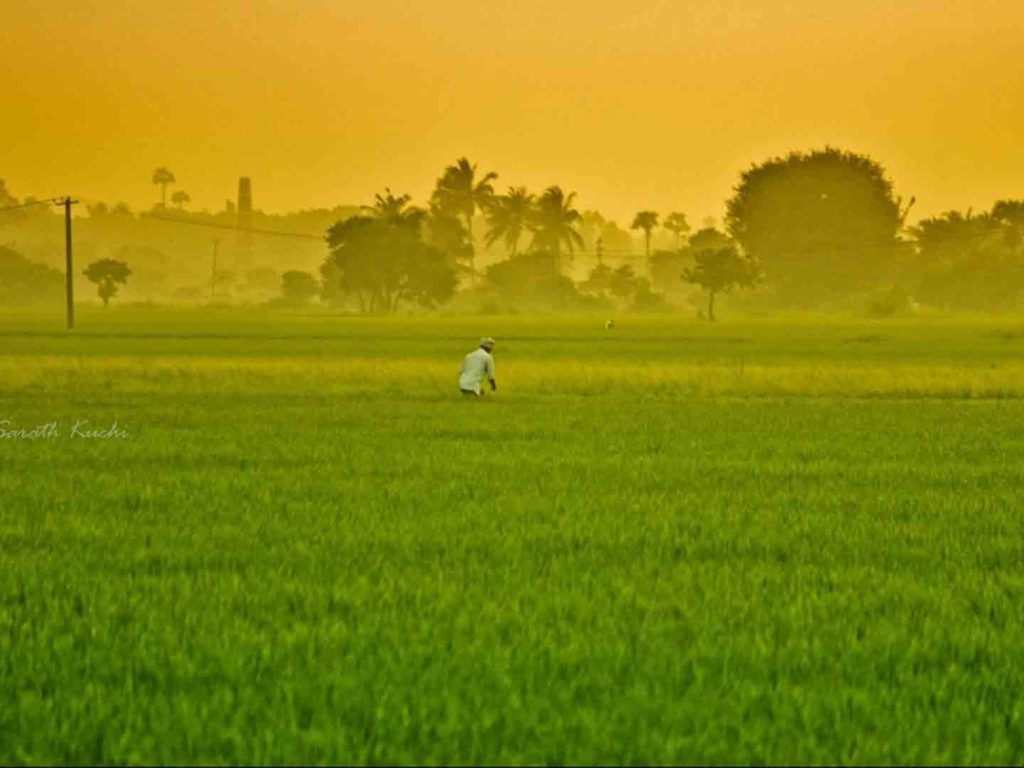 Loans Of - Karnataka Farmer Loan Waiver - HD Wallpaper 