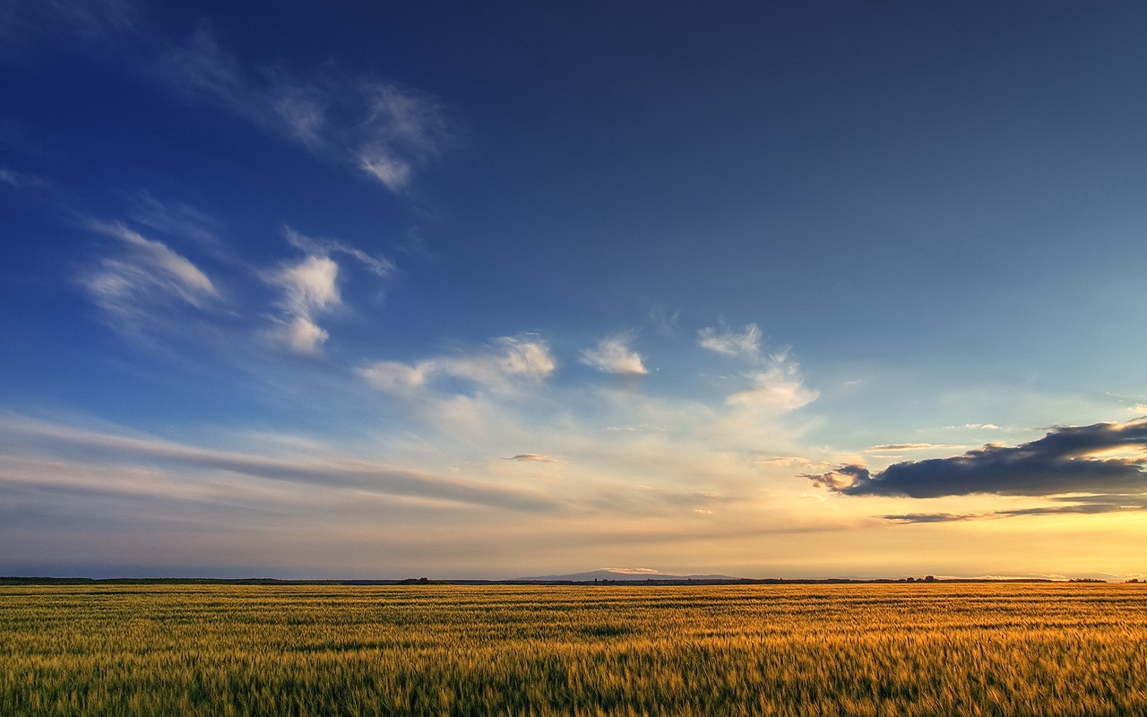 Wallpaper Field, Sky, Clouds, Decline, Expanse - Windovs 7 Masa Üstü - HD Wallpaper 