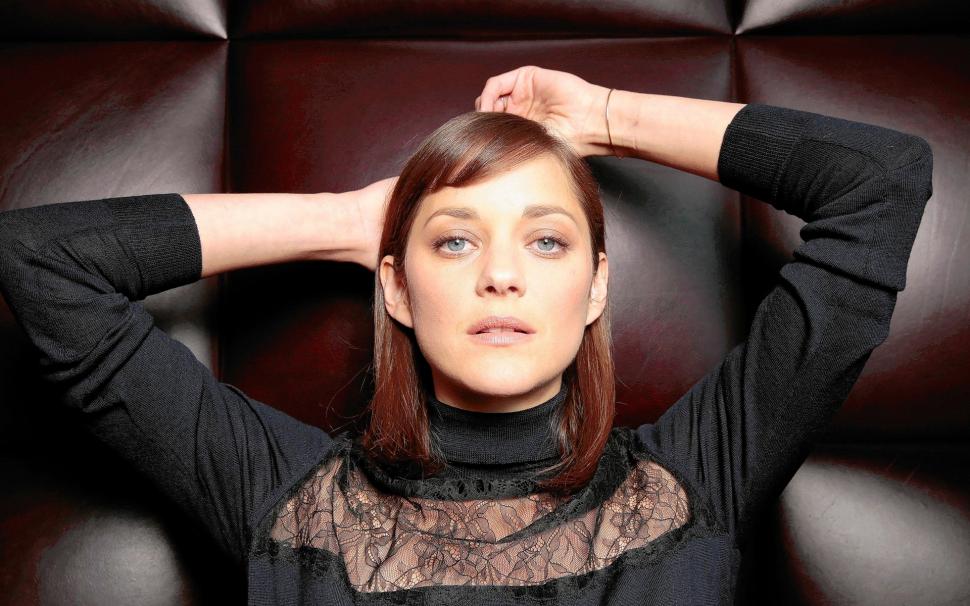 Marion Cotillard Wallpaper,french Hd Wallpaper,actress - HD Wallpaper 