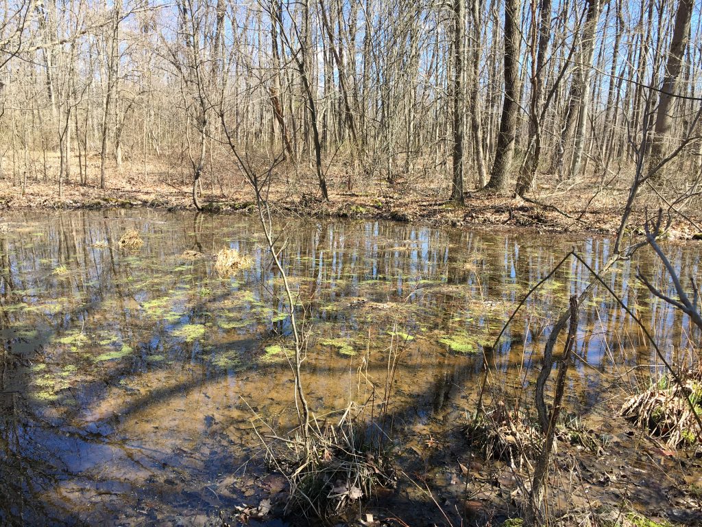 Proposed Site Of Nese Compressor Station - Reflection - HD Wallpaper 