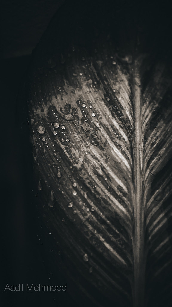 Darkness - HD Wallpaper 