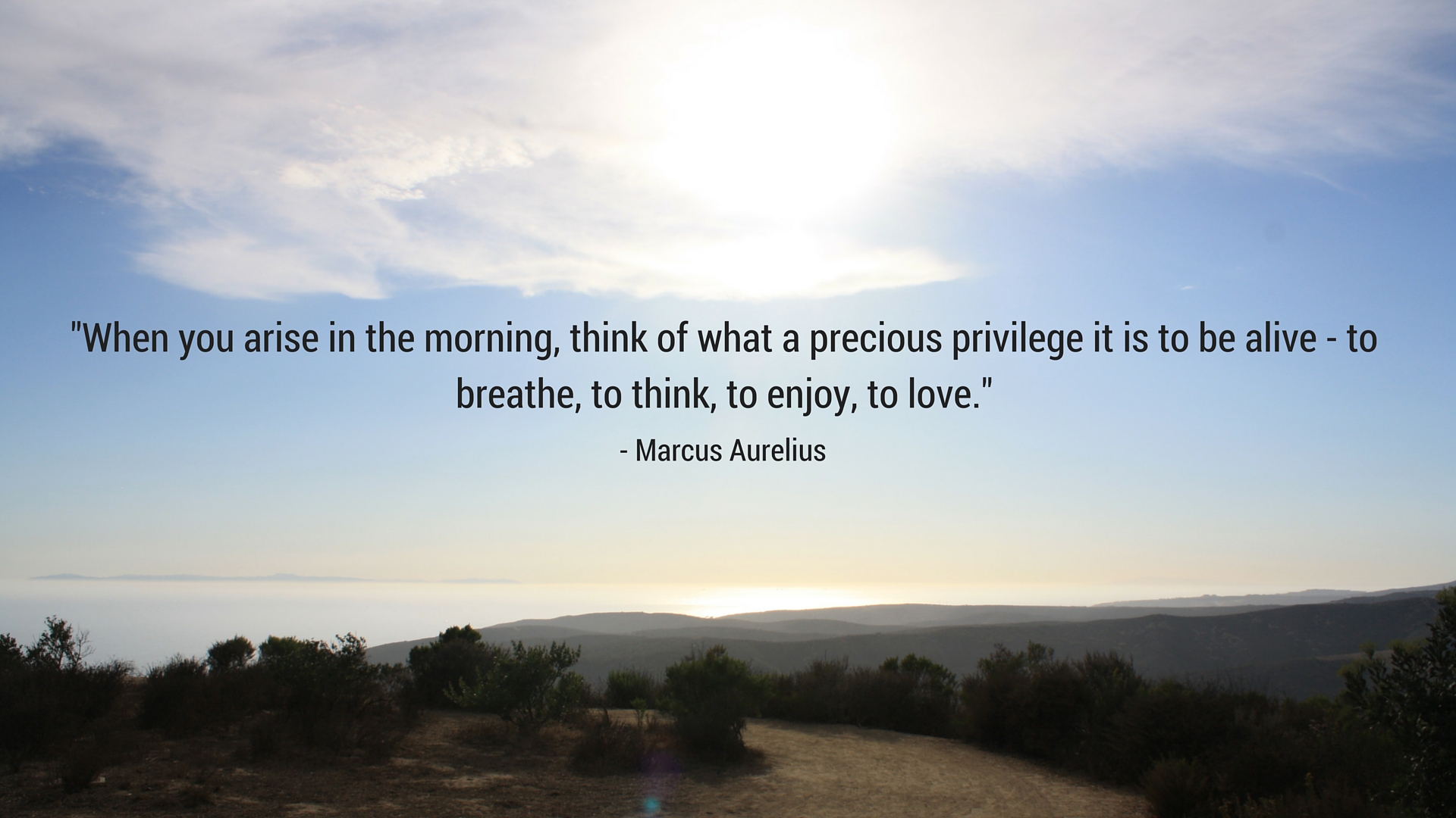 When You Arise Desktop - Tree - HD Wallpaper 