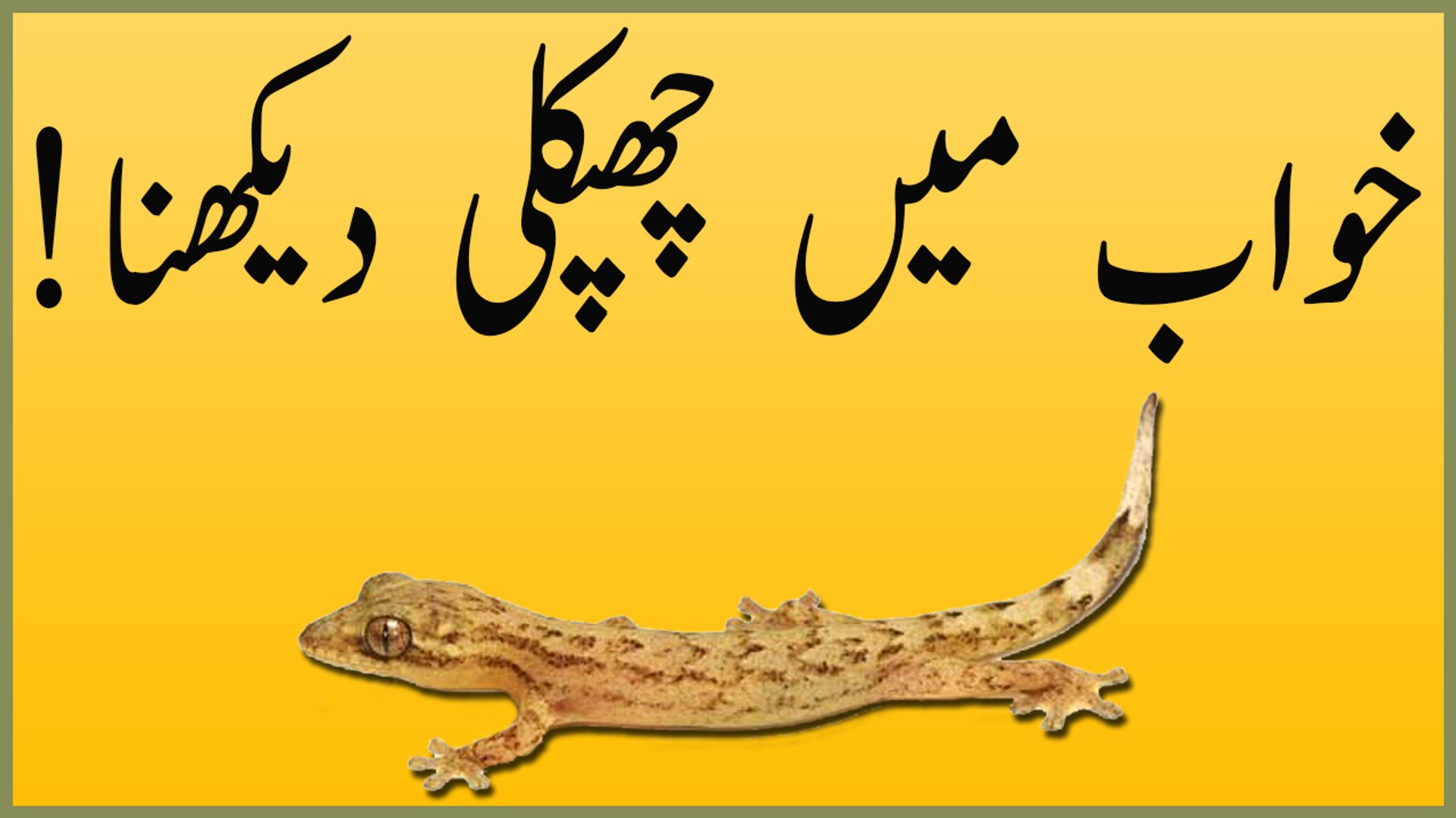 Khwab Mein Sher Dekhna Ki Tabeer - HD Wallpaper 