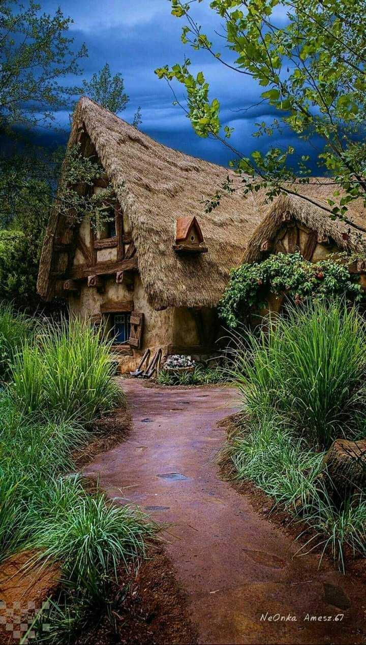 Neonka Amesz - Cabin In The Woods Magical - HD Wallpaper 