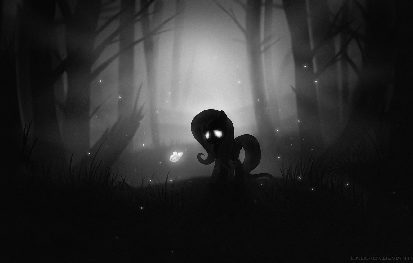 Photo Wallpaper Forest, Shadow, Darkness, Art, Fan - Monochrome - HD Wallpaper 