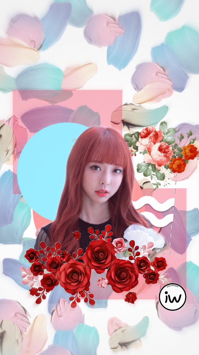 Garden Roses - HD Wallpaper 