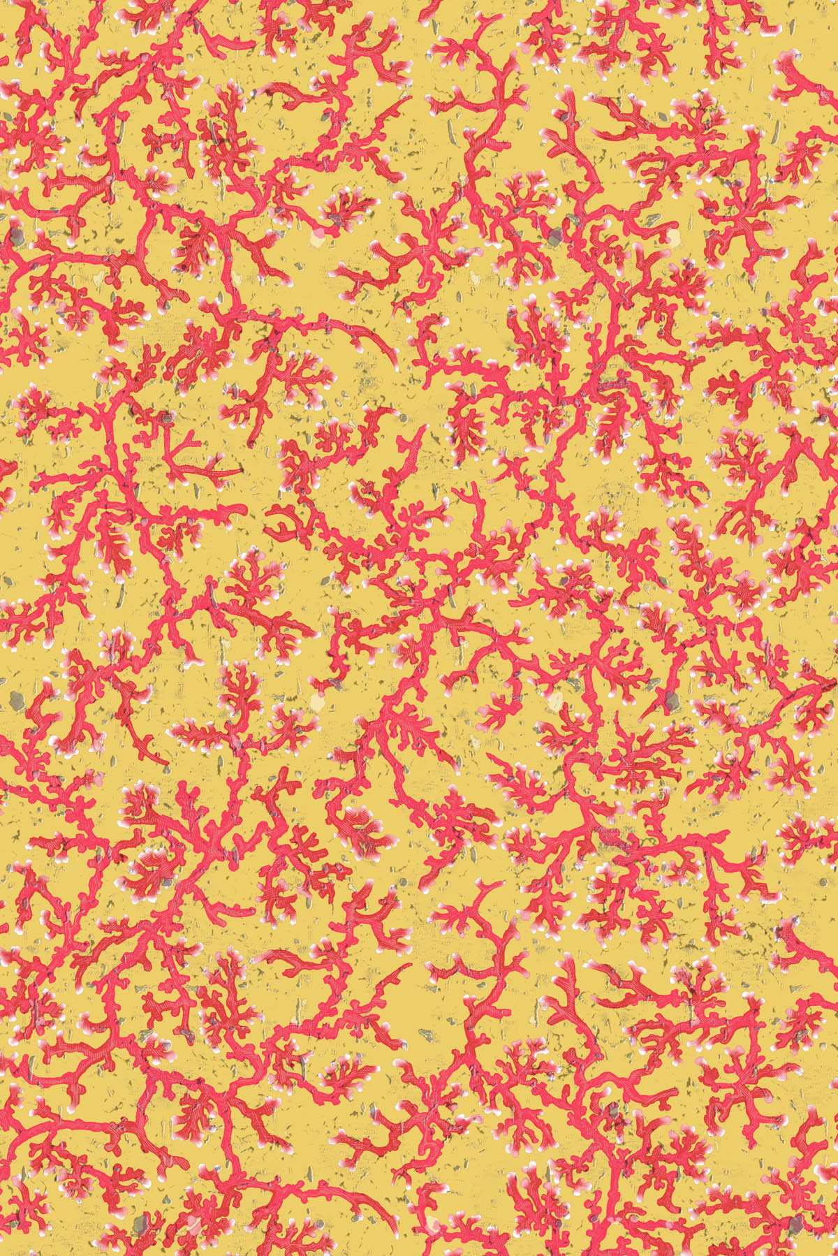 Amber - 1200x1798 Wallpaper - teahub.io