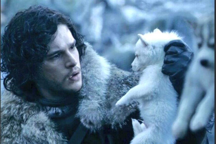 Ghost To Nymeria To Lady, Here’s What Happened To Stark - Jon Snow Petting Ghost - HD Wallpaper 