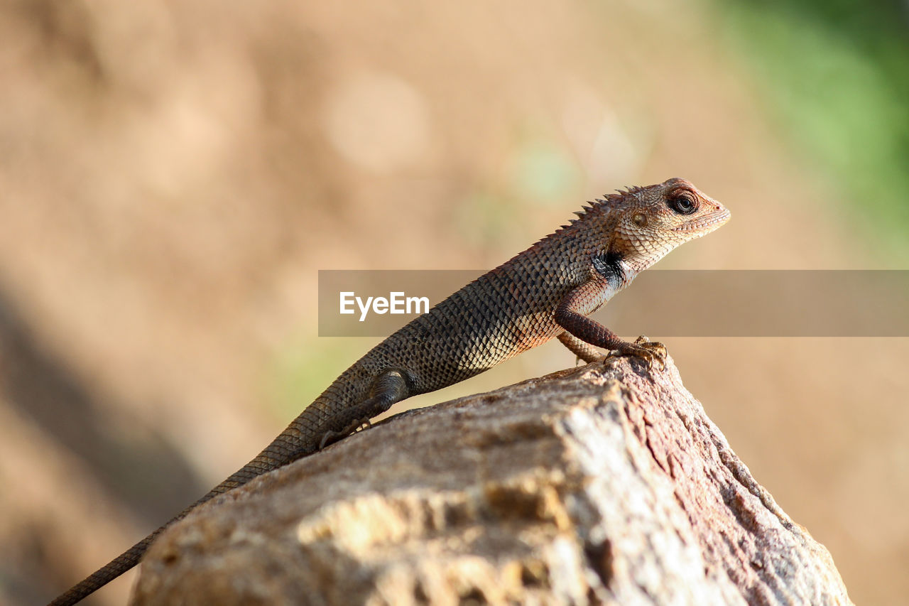 Eyeem - HD Wallpaper 