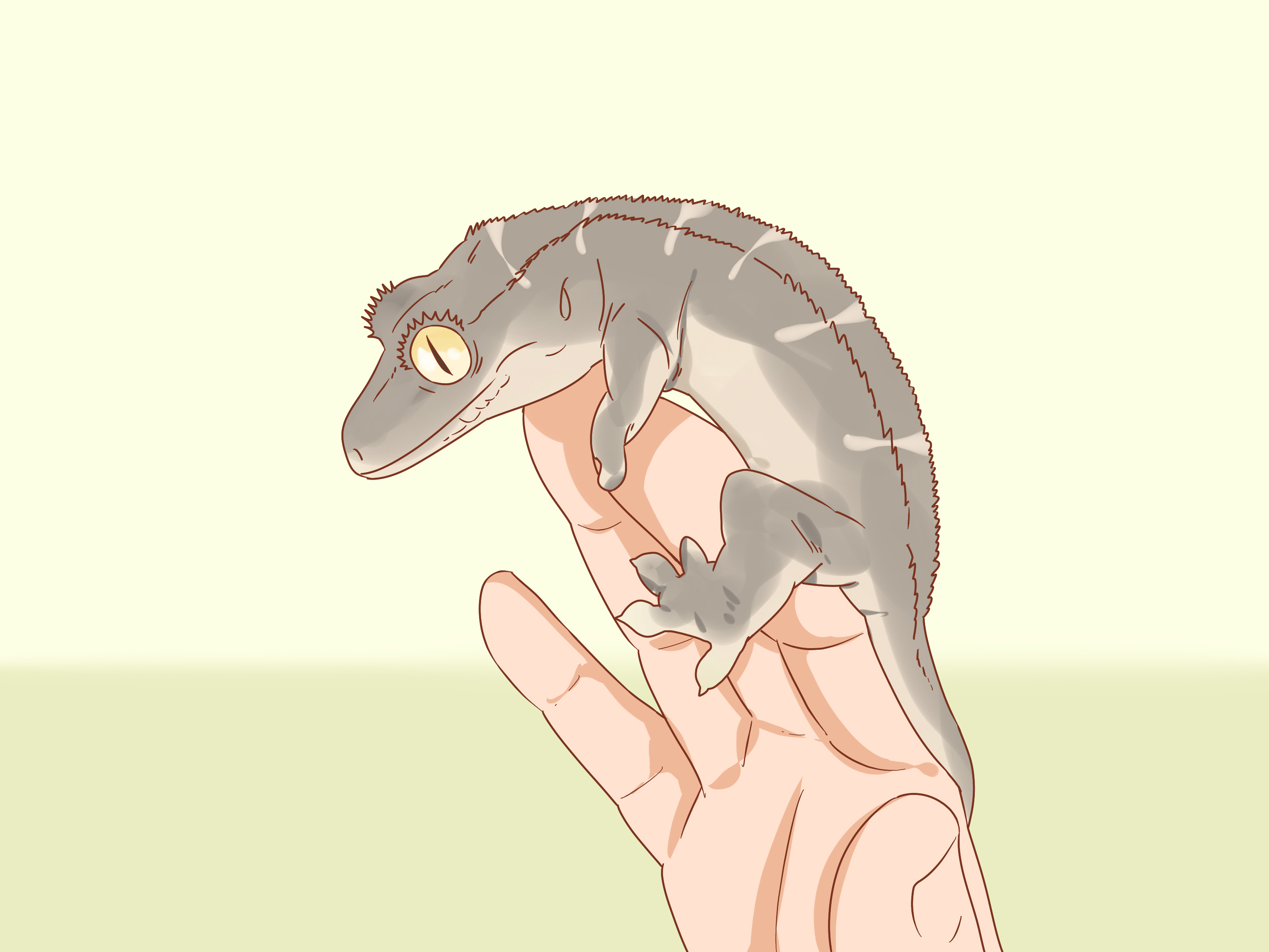 Image Titled Care For A Crested Gecko Step - Easy Crested Gecko Drawing - HD Wallpaper 