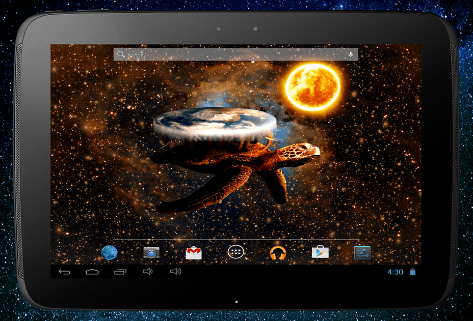 Marine Invertebrates - HD Wallpaper 