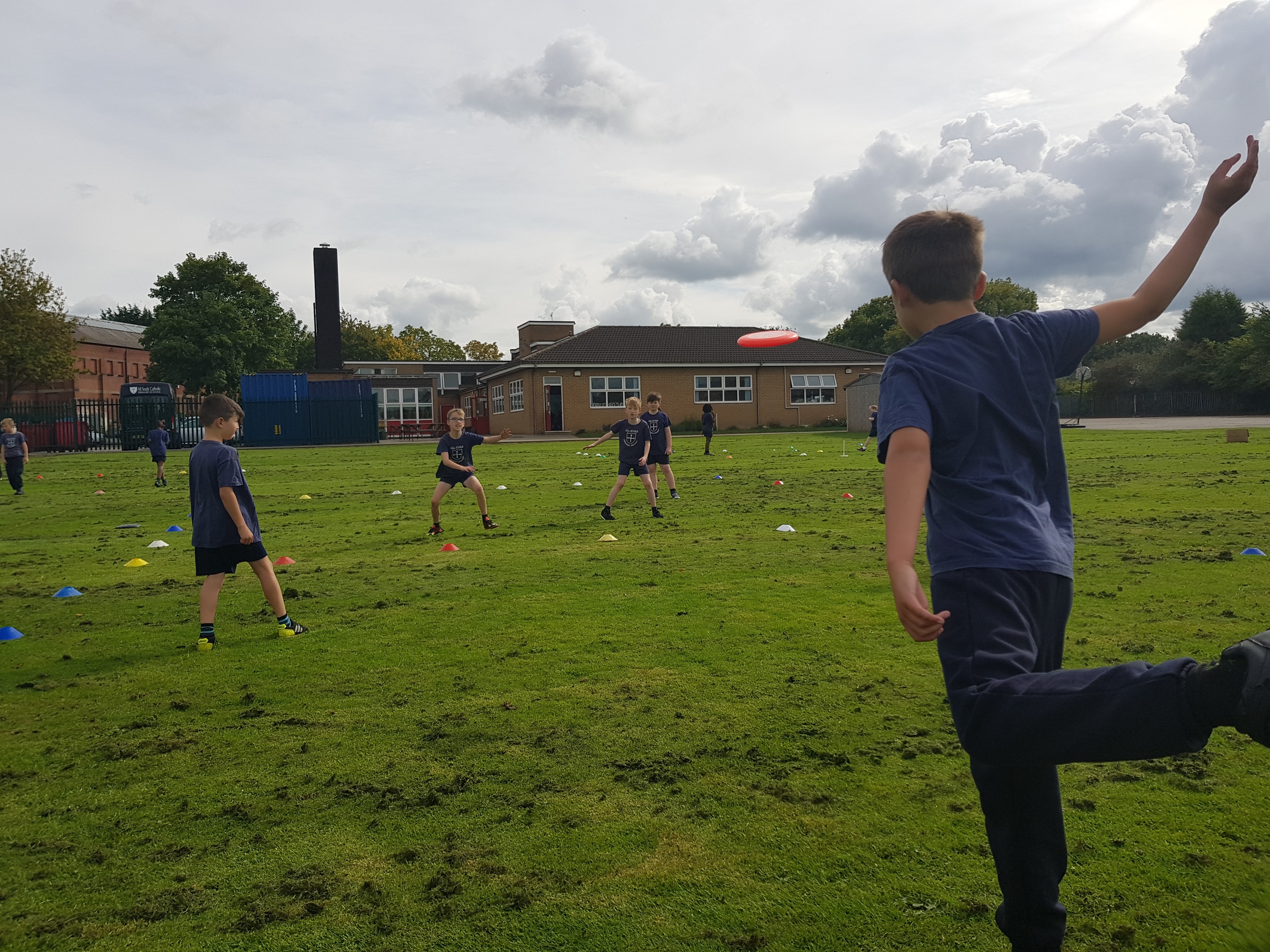 Grass - HD Wallpaper 