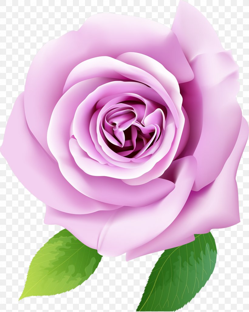 Paper Mural Garden Roses Wallpaper, Png, 1022x1280px, - Perfume Flower Background - HD Wallpaper 