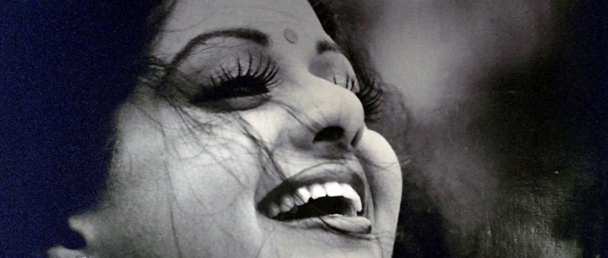 Close-up - HD Wallpaper 