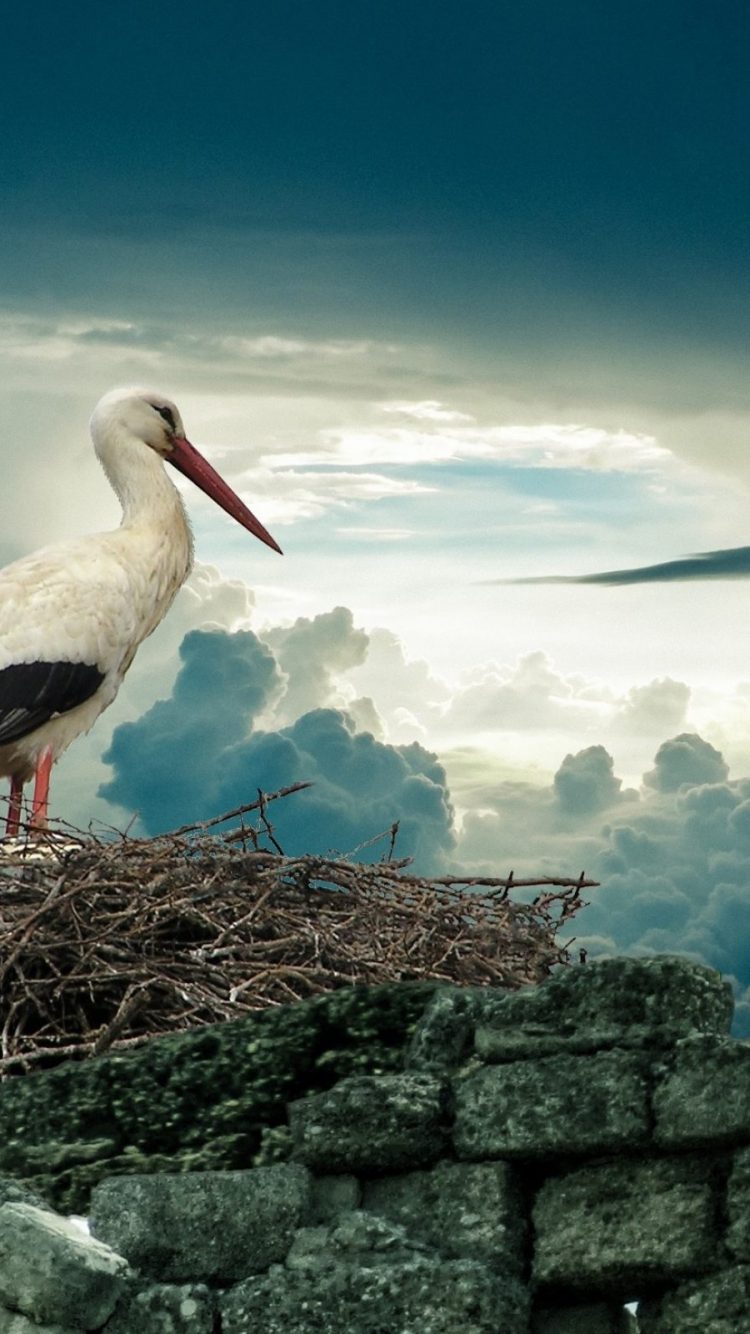 Banner Clouds - HD Wallpaper 