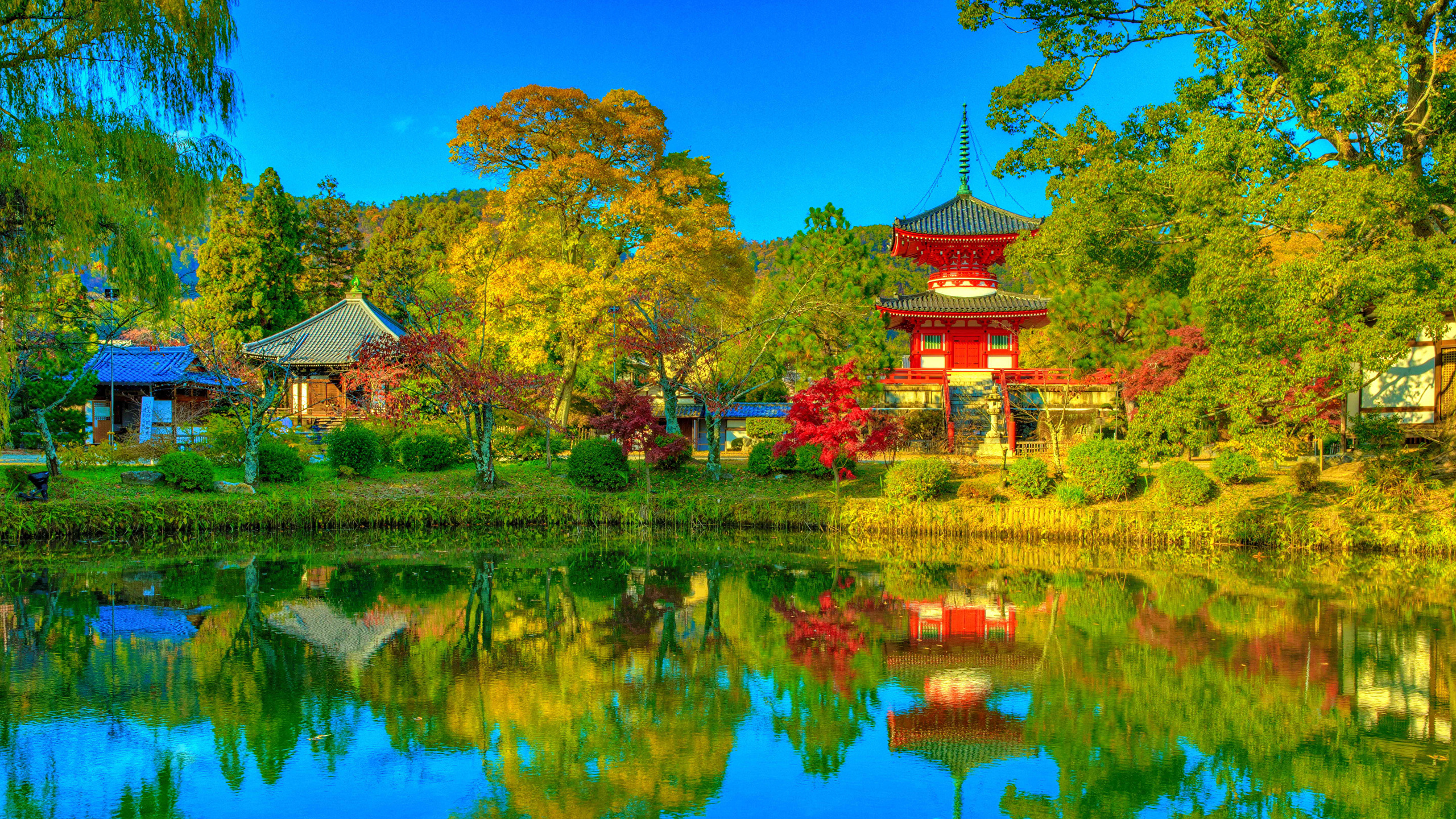 Fonds D Écran Automne - HD Wallpaper 