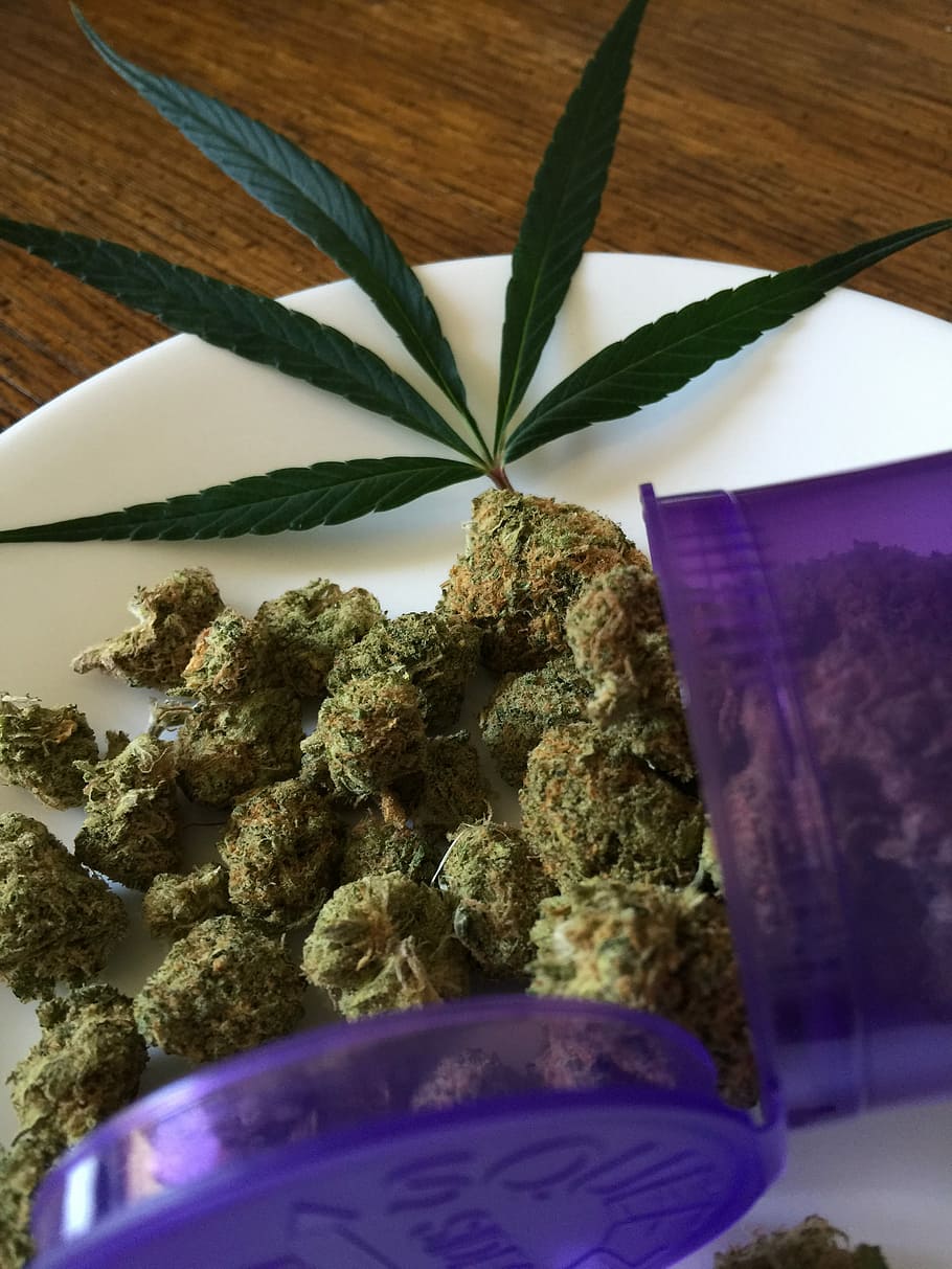 Green Kush On Top Plate, Cannabis Sativa, Marijuana, - Трава Сатива - HD Wallpaper 