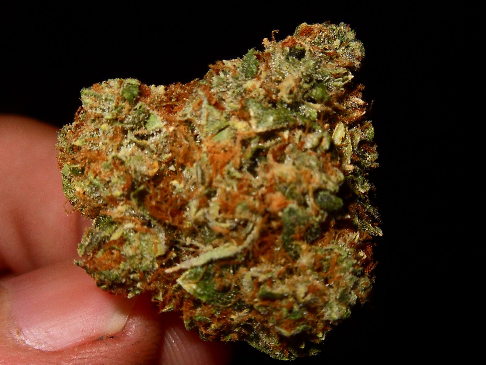 Og Kush Wallpaper - Og Kush - 1600x1200 Wallpaper Og Kush Wallpaper - Og Kush - 1600x1200 Wallpaper